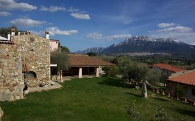 Ermosuras Nuoro (sardinia)